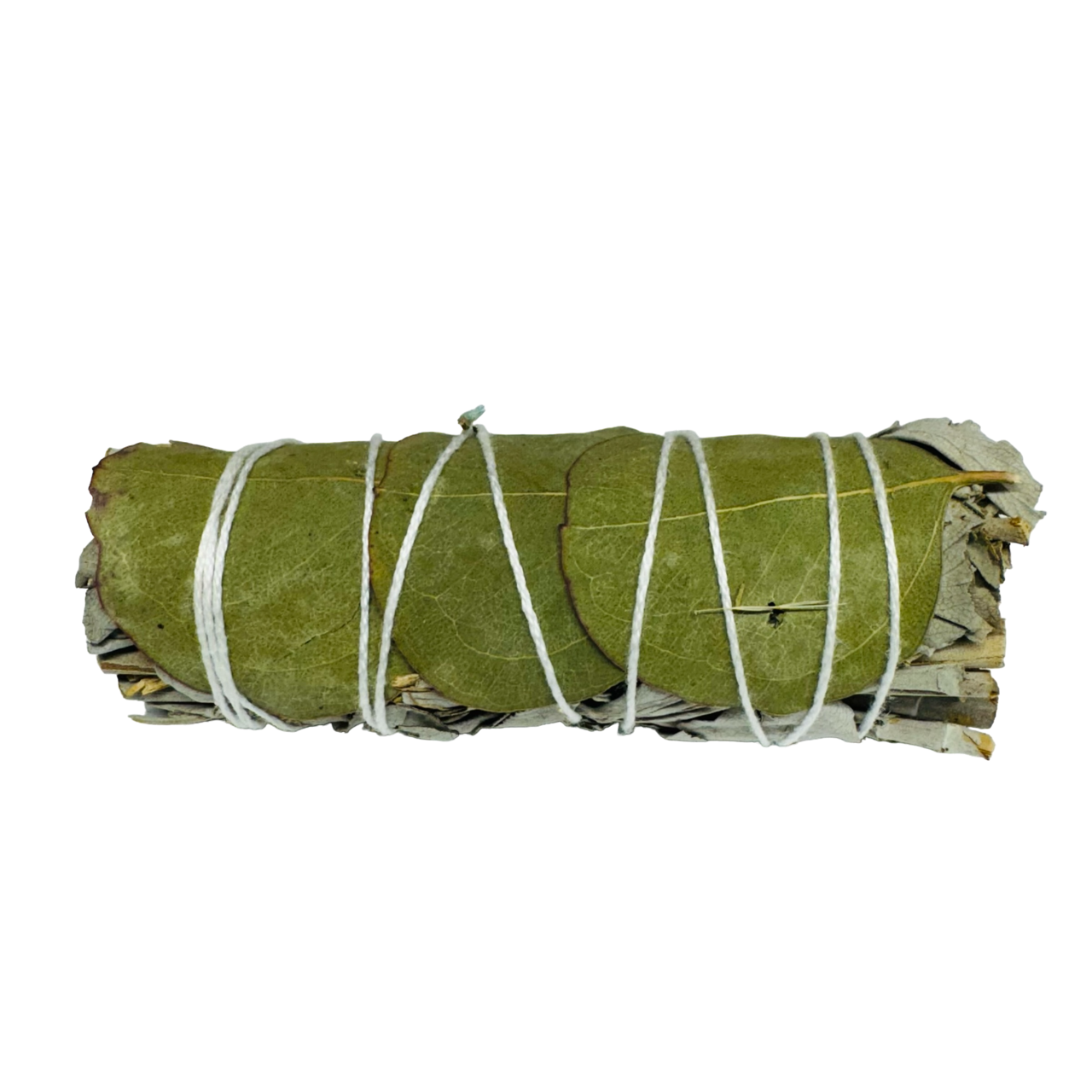 Eucalyptus White Sage 4 Inch -(12 Pieces)