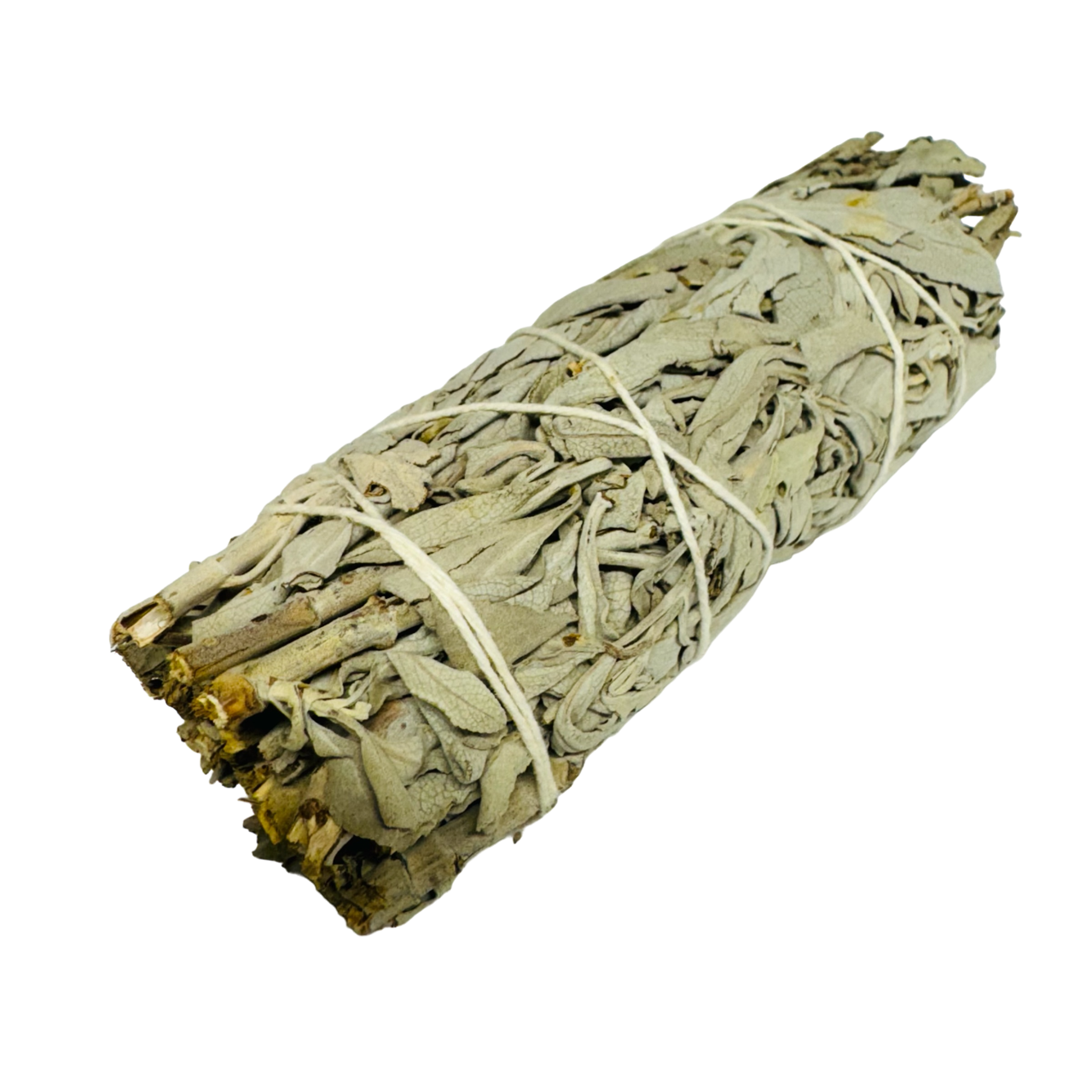 White Sage 5-6 Inch -(12 Pieces)