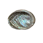 Abalone Shell- (Small Size -50 Pieces) @ $1.89/each