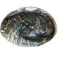 Abalone Shell- (Large Size -25 Pieces) @ $6.65/each