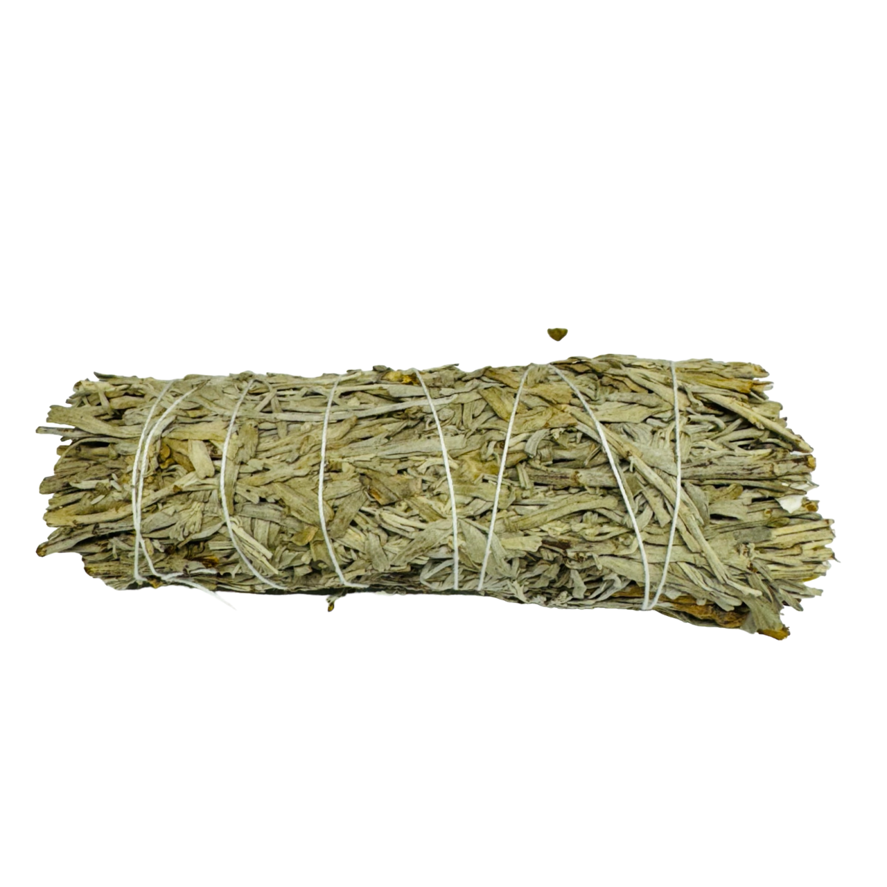 Blue Sage 4 Inch -(12 Pieces)
