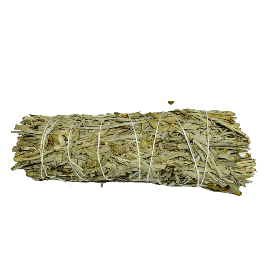 Blue Sage 4 Inch -(100 Pieces)