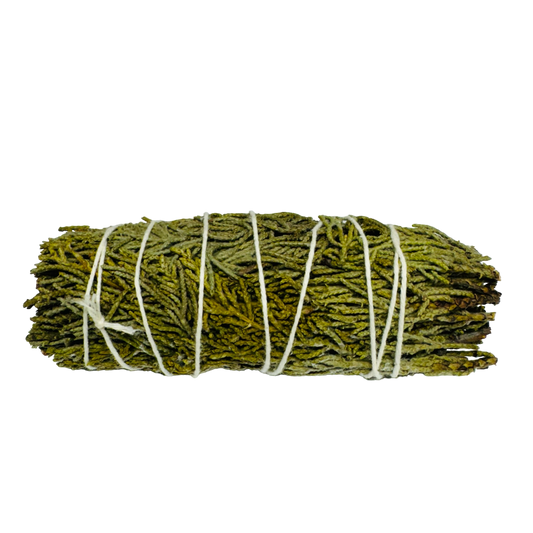 Cedar Sage 4 Inch -(100 Pieces)