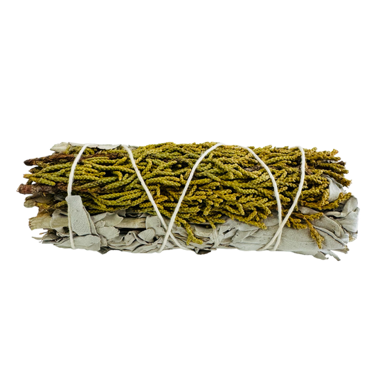 Cedar White Sage 4 Inch -(100 Pieces)