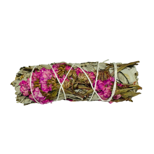 Pink Sinuata White Sage 4 Inch -(100 Pieces)