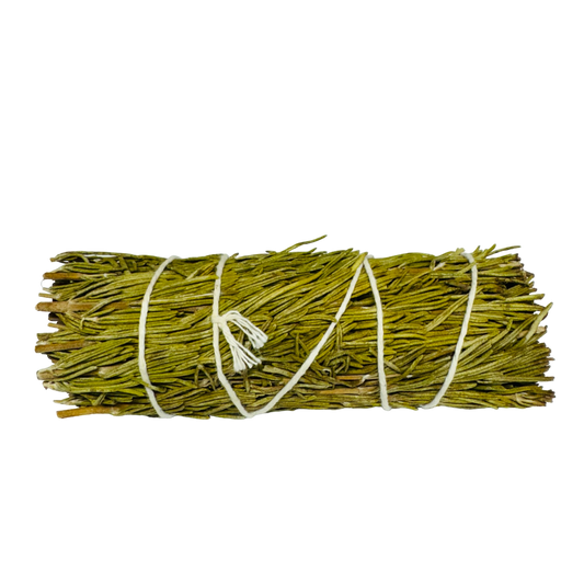 Rosemary Sage 4 Inch -(12 Pieces)