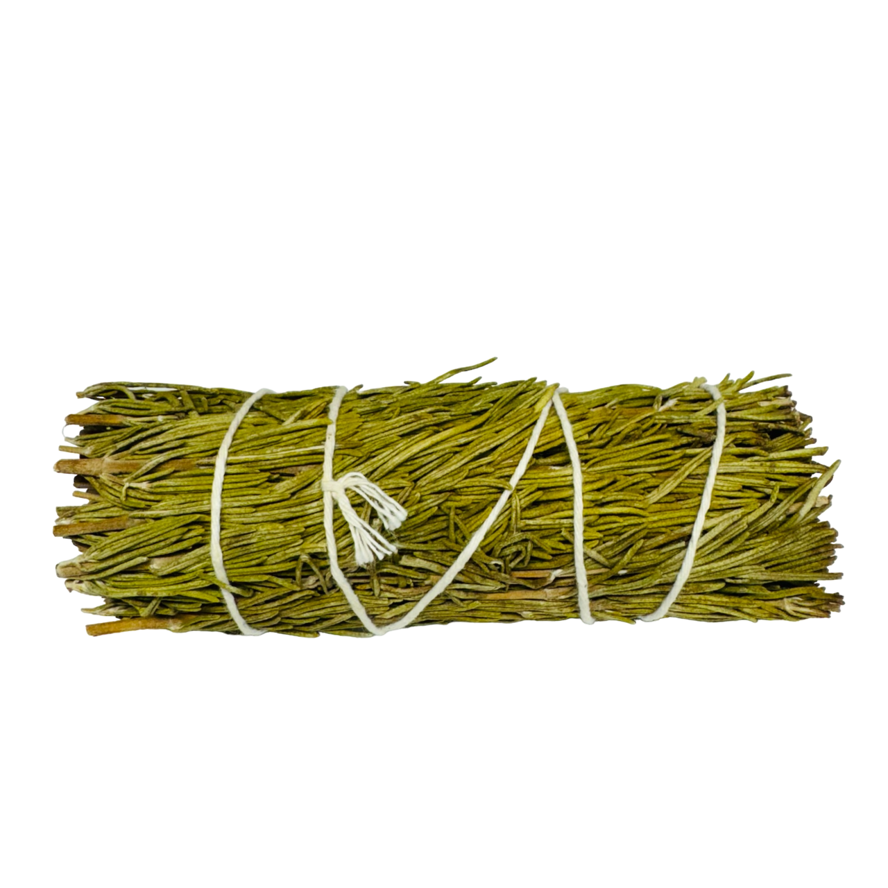 Rosemary Sage 4 Inch -(100 Pieces)