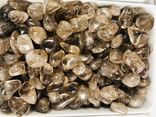 Smoky Quartz Tumble Stone- (1 Pound)