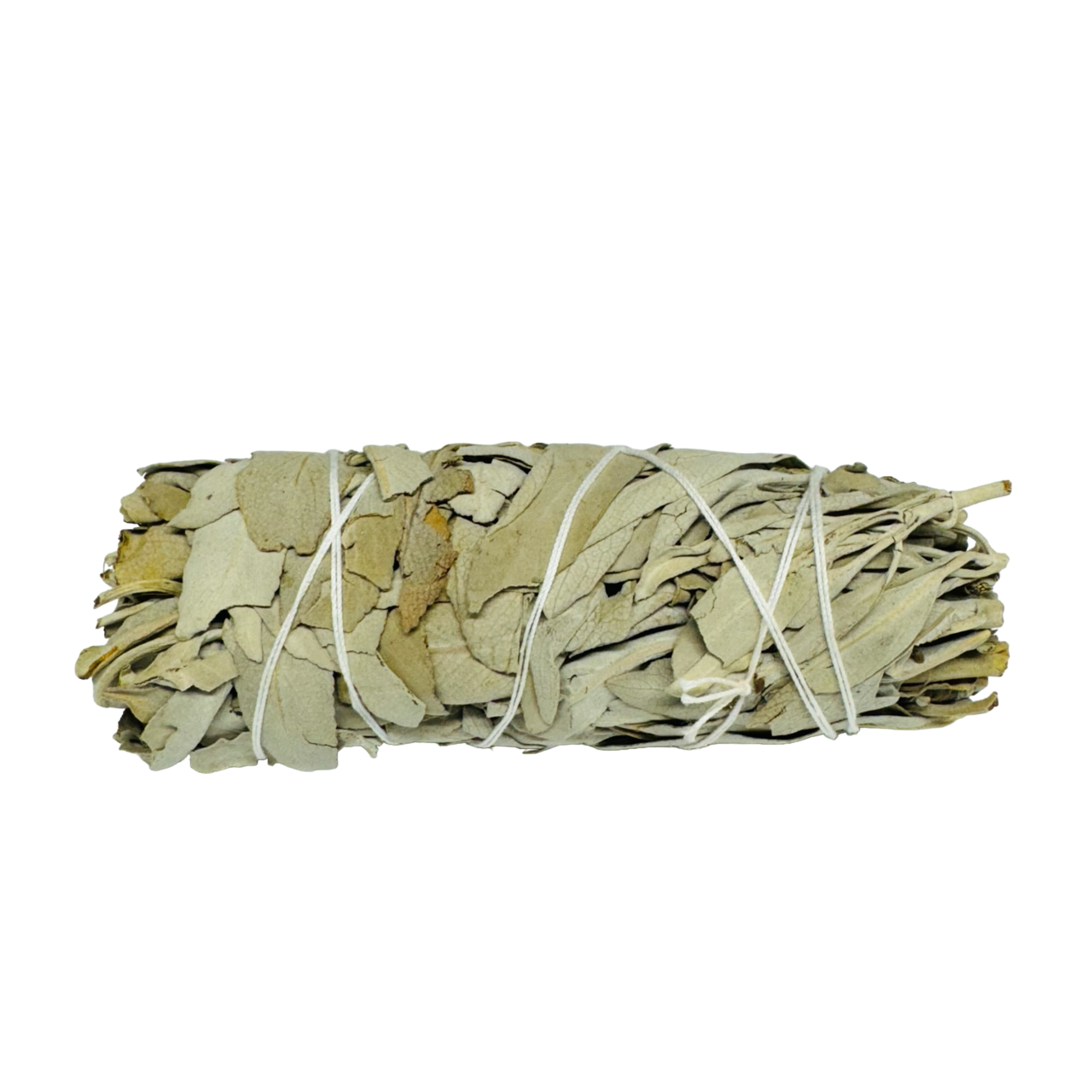 White Sage 4 Inch -(500 Pieces)