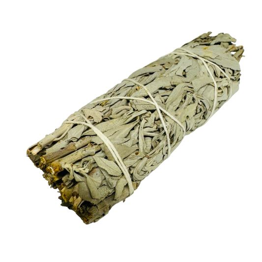 White Sage 5-6 Inch -(12 Pieces)