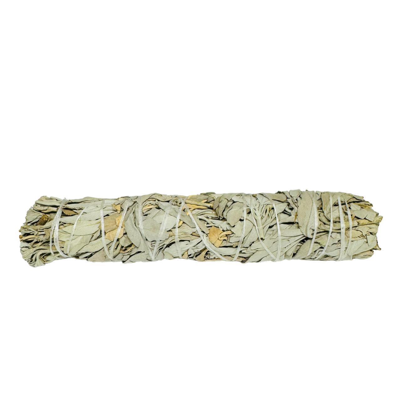 White Sage 8-9 Inch -(100 Pieces)