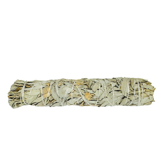 White Sage 8-9 Inch -(12 Pieces)