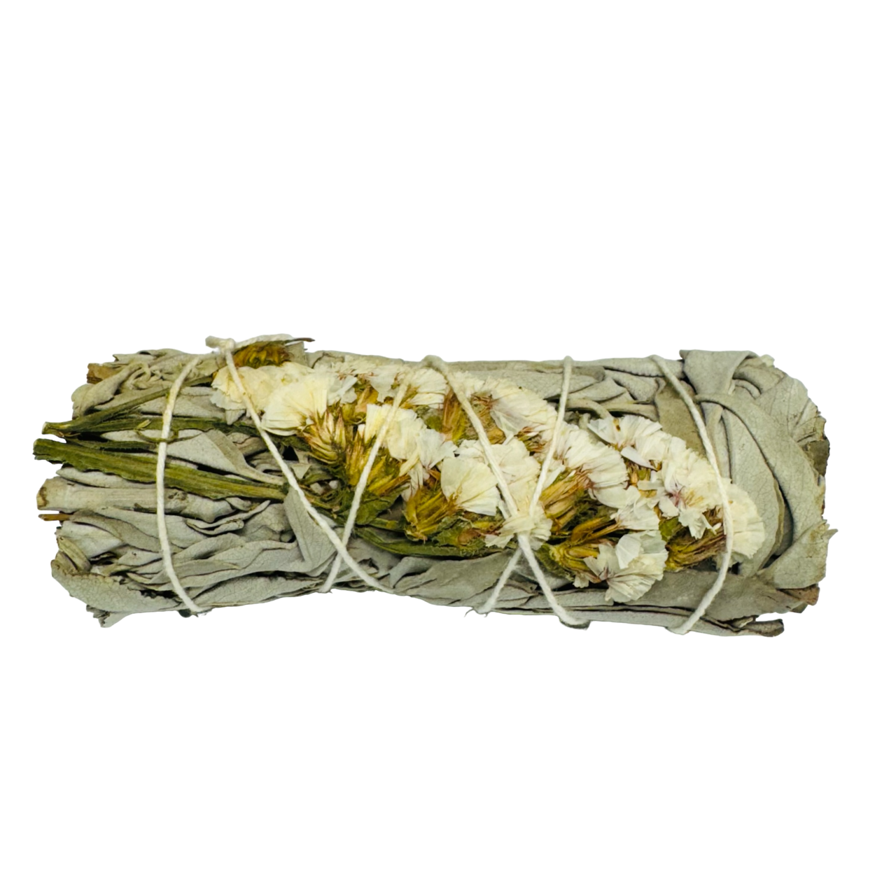 White Sinuata White Sage 4 Inch -(100 Pieces)