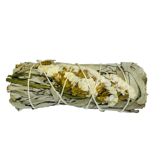 White Sinuata White Sage 4 Inch -(12 Pieces)